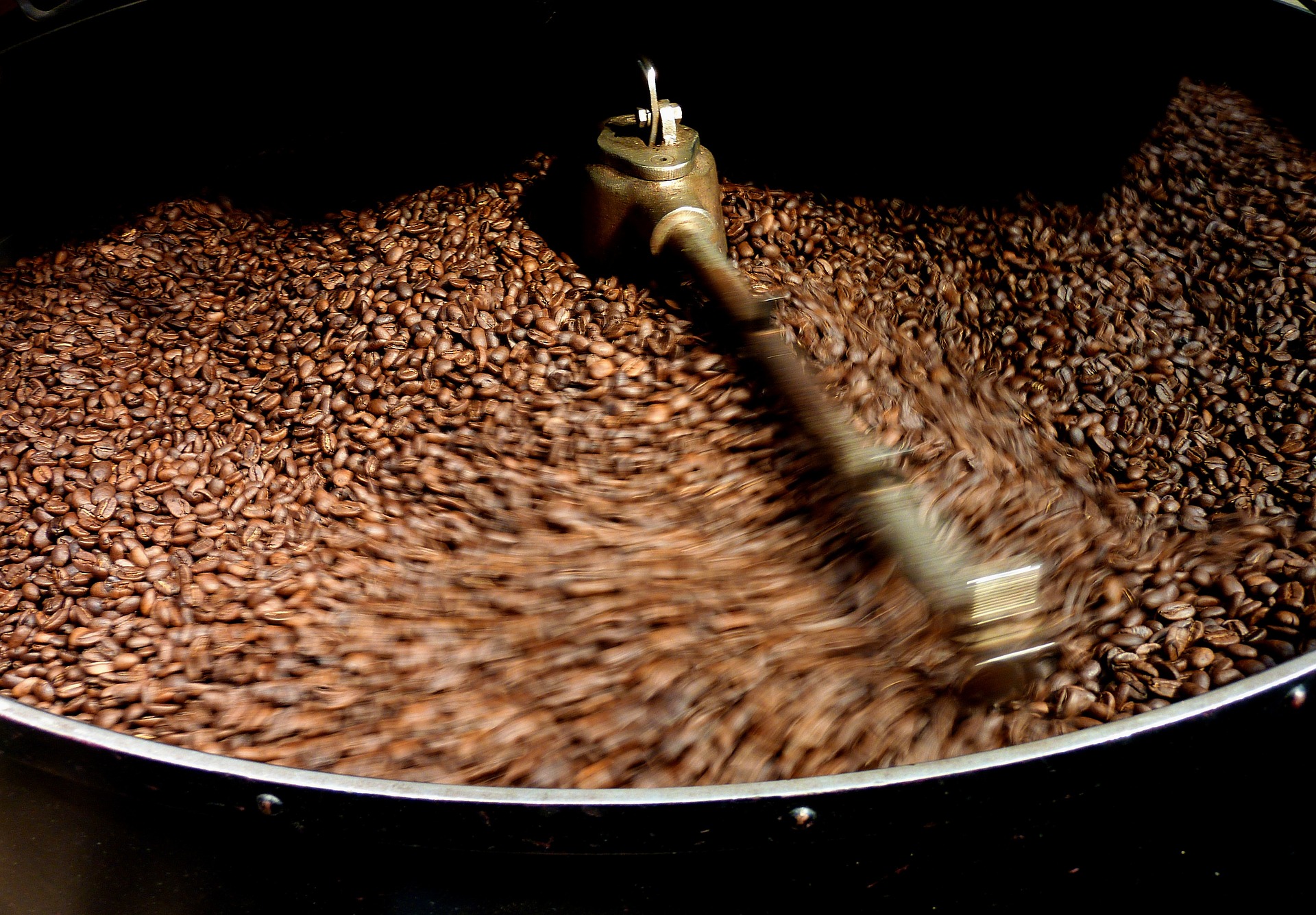 Proceso cultivo café